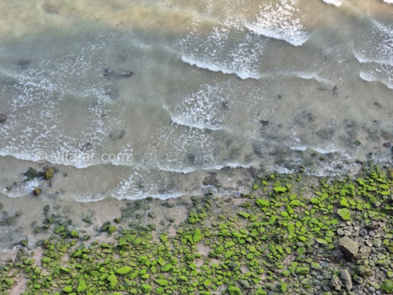 عکس شماره 8 - ساحل لاک پشت ها جزیره هرمز