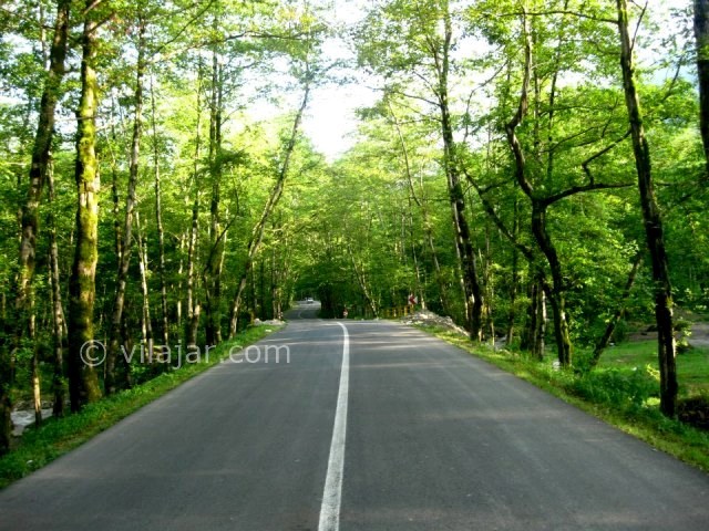 عکس شماره 4 - جاده دوهزار تنکابن