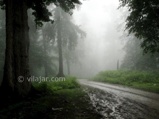 عکس شماره 4 - آبشار آب پری کجاست؟