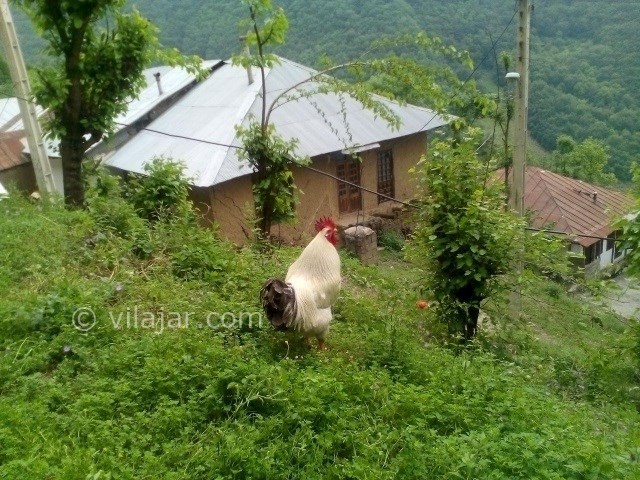عکس شماره 3 - روستای اشکورات