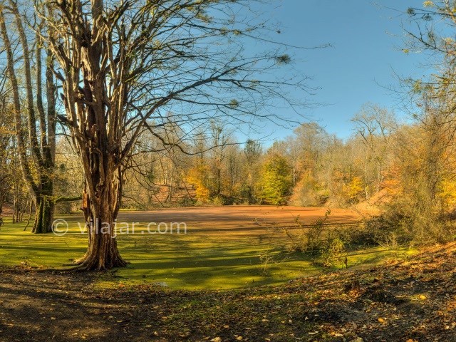 عکس شماره 3 - مرداب هسل در چالوس