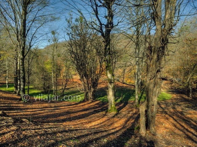 عکس شماره 4 - مرداب هسل در چالوس