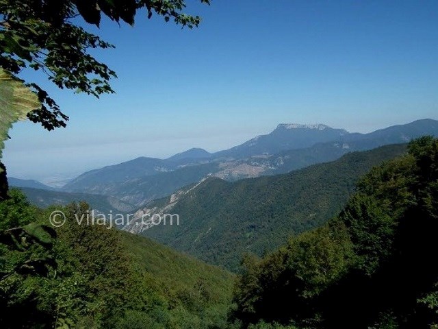 عکس شماره 3 - جنگل ابر شاهرود