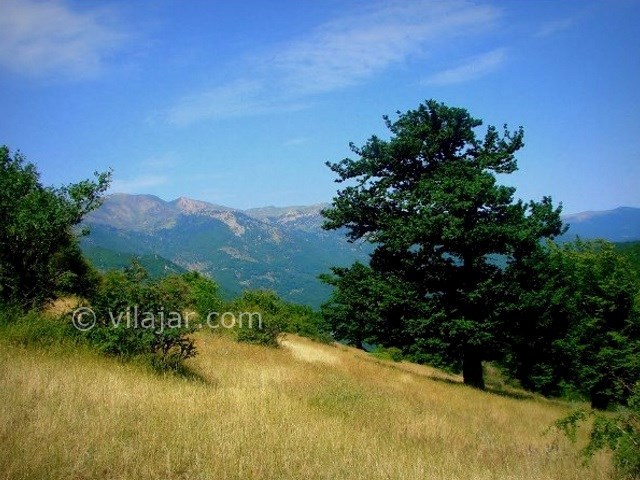 عکس شماره 4 - جنگل ابر شاهرود