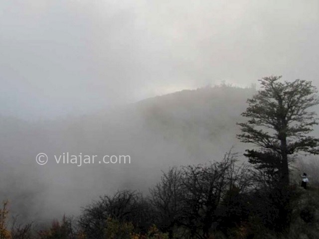 عکس شماره 5 - جنگل ابر شاهرود