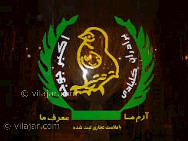 عکس شماره 3 - اکبر جوجه کلبادی