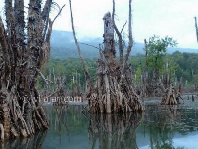 عکس شماره 4 - تالاب ارواح (دریاچه ممرز)