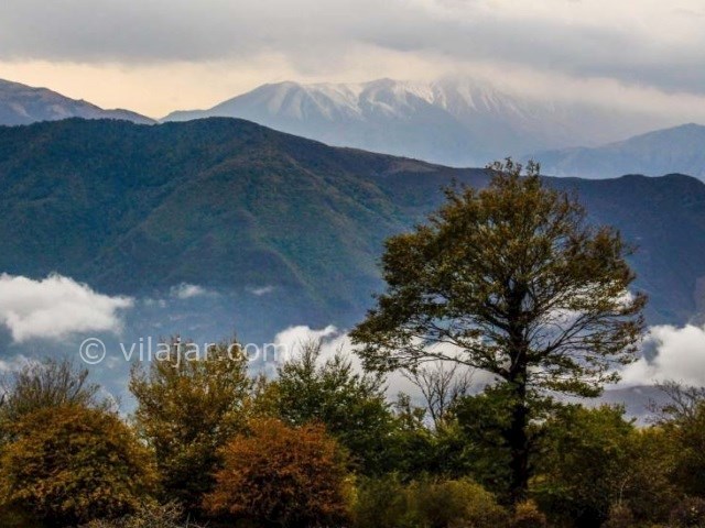 عکس شماره 8 - جنگل الیمستان کجاست؟