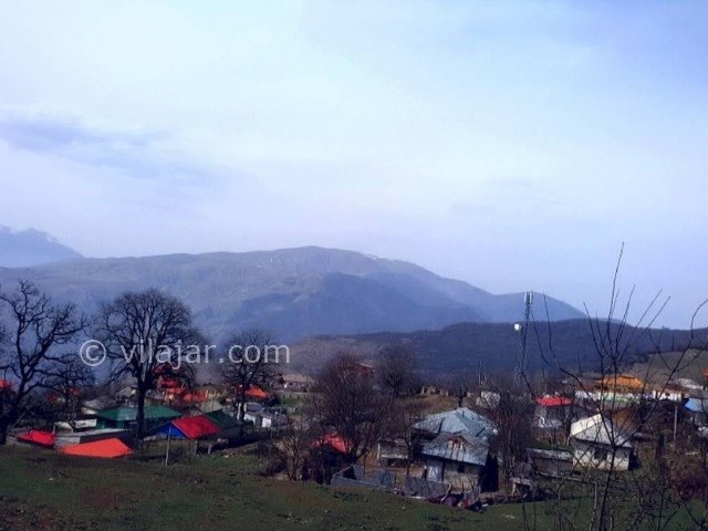 عکس شماره 10 - جنگل الیمستان کجاست؟