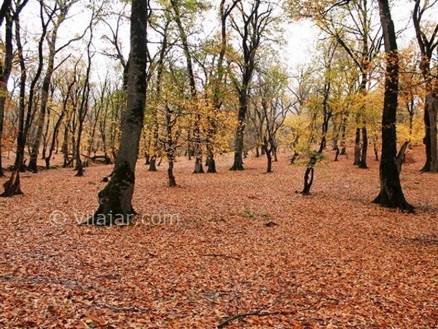 عکس شماره 3 - چشمه لال گالیکش