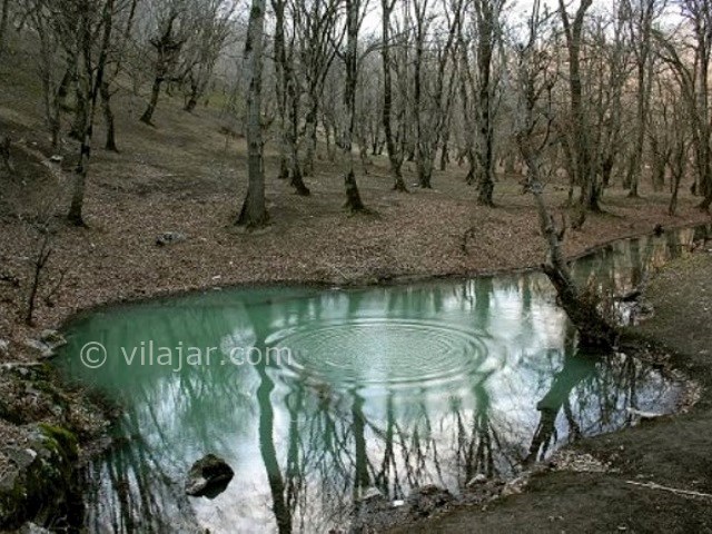 عکس شماره 4 - چشمه لال گالیکش