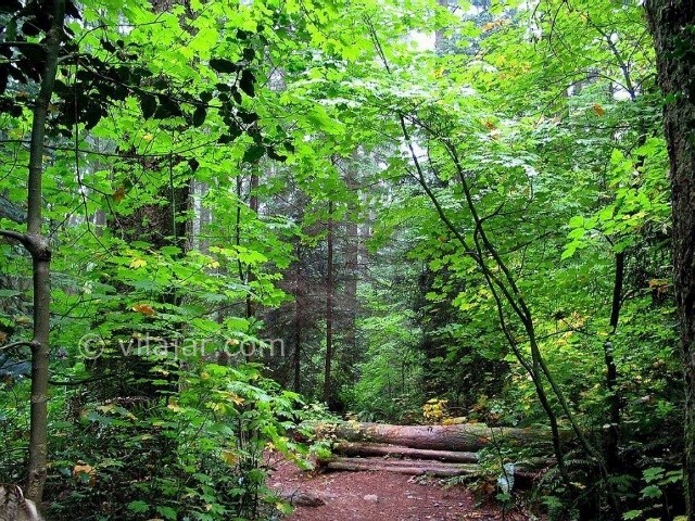 عکس شماره 4 - ییلاق جهان نما کجاست؟