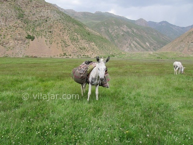 عکس شماره 4 - دشت نمارستاق یا دریوک
