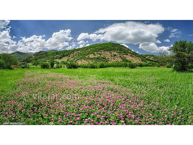 عکس شماره 4 - ییلاق آق اولر تالش