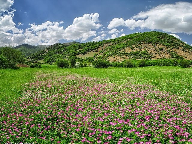 عکس شماره 7 - ییلاق آق اولر تالش