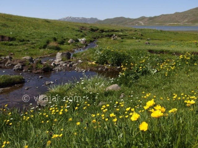 عکس شماره 4 - دریاچه نئور کجاست؟