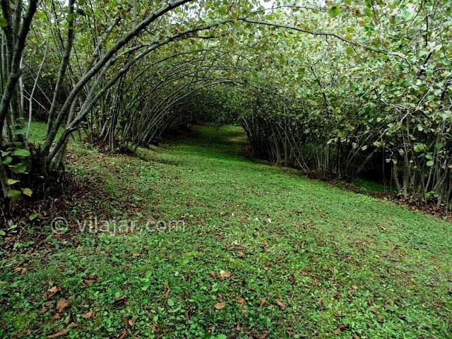 عکس شماره 5 - آبشار میلاش (آبشار سحرانگیز)