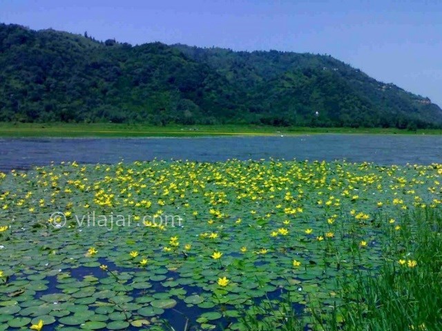 عکس اصلی شماره 2 - دریاچه کومله لنگرود