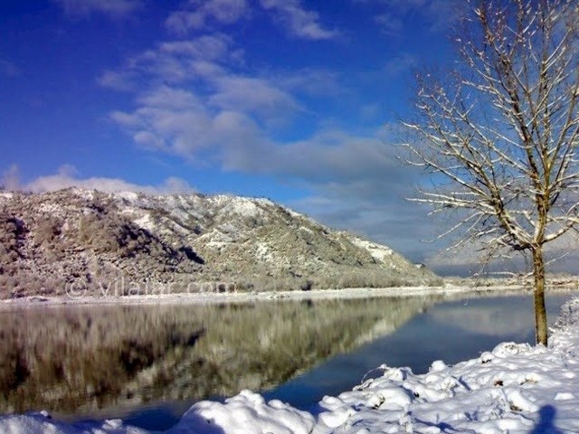 عکس شماره 4 - دریاچه کومله لنگرود