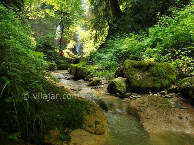 عکس شماره 6 - جنگل های انجیلی (ولیلا)