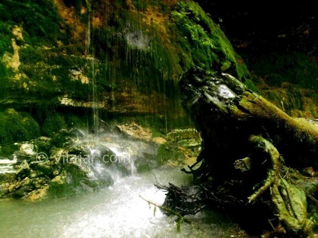 عکس شماره 7 - جنگل های انجیلی (ولیلا)