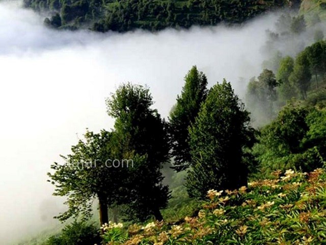 عکس شماره 7 - آبشار سیاسرت رامسر