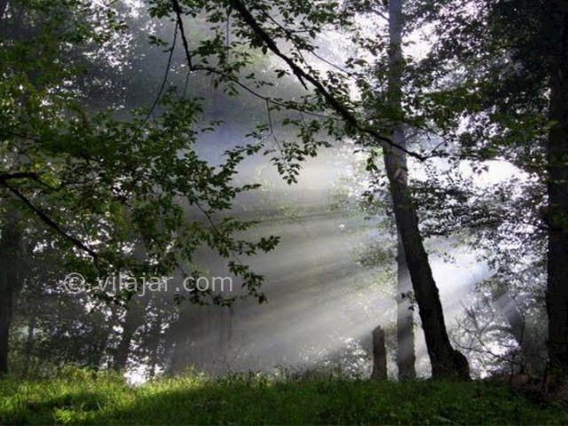 عکس شماره 8 - آبشار سیاسرت رامسر