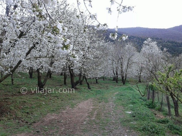 عکس شماره 3 - جاذبه‌های گردشگری کجور