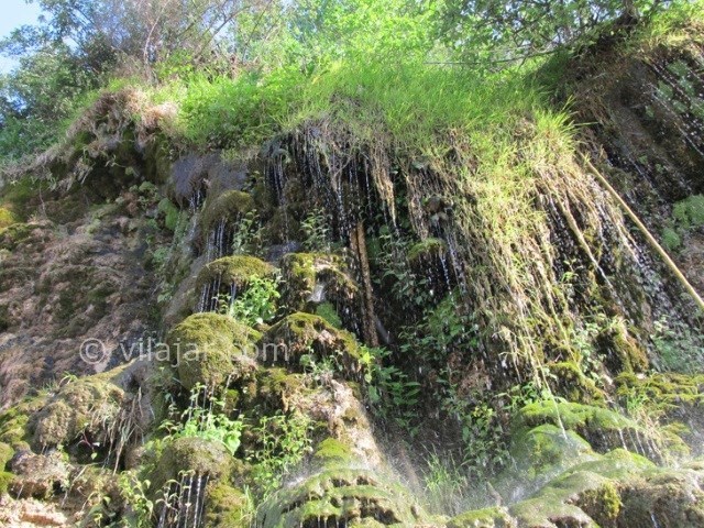 عکس شماره 4 - جاذبه‌های گردشگری کجور