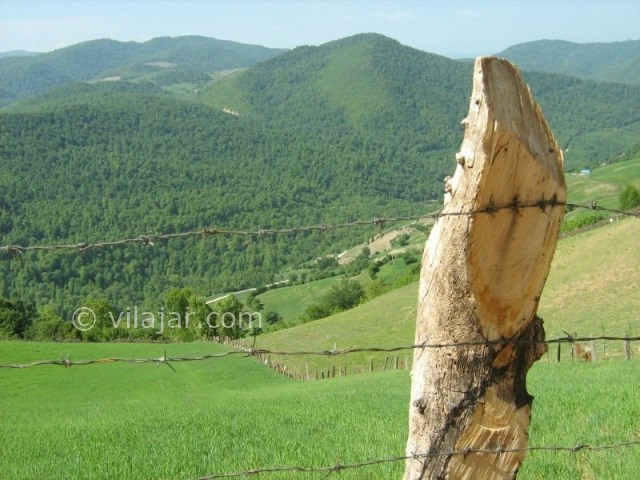 عکس شماره 3 - منطقه هزار جریب کجاست؟