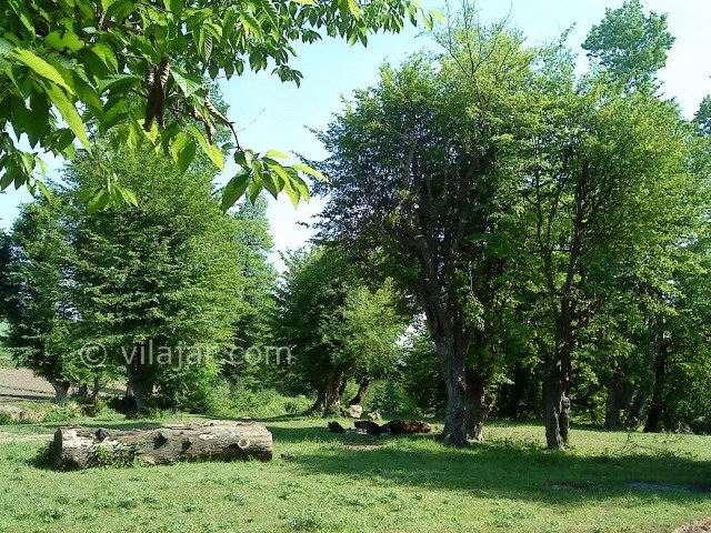 عکس شماره 7 - منطقه هزار جریب کجاست؟