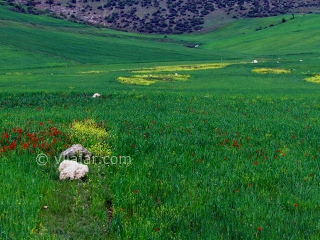عکس شماره 4 - منطقه دو دانگه ساری
