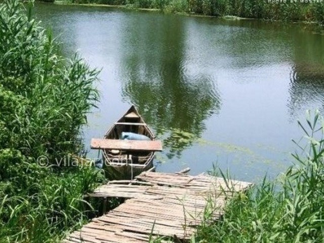 عکس شماره 4 - تالاب کیاکلایه لنگرود