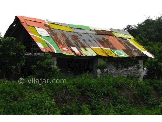 عکس شماره 5 - جنگل کوتنا نزدیک قائم شهر