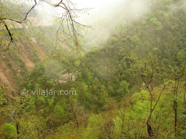 عکس شماره 4 - دریاچه و جنگل الیمالات