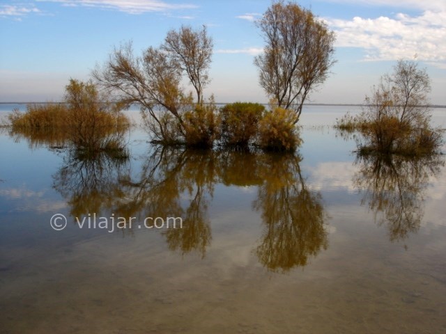 عکس اصلی شماره 1 - تالاب آلماگل (دریاچه سیب)