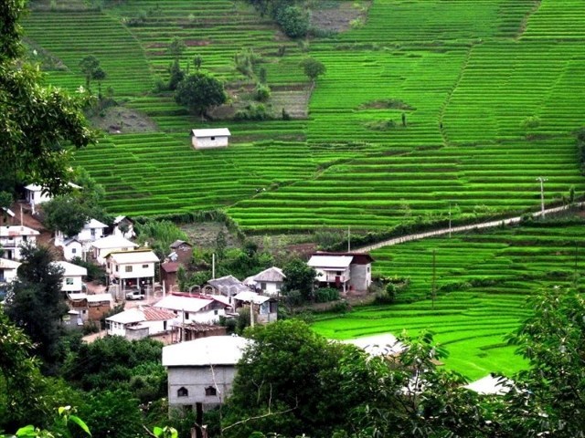 عکس شماره 3 - پارک جنگلی سفید آب رودسر