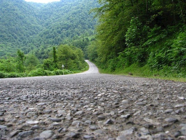 عکس شماره 4 - پارک جنگلی سفید آب رودسر