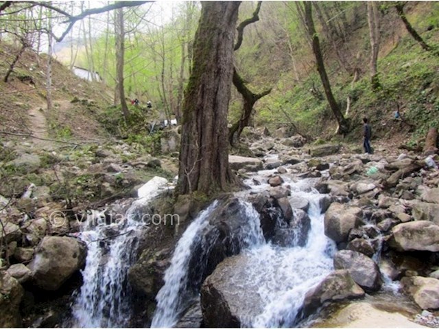 عکس شماره 5 - پارک جنگلی سفید آب رودسر