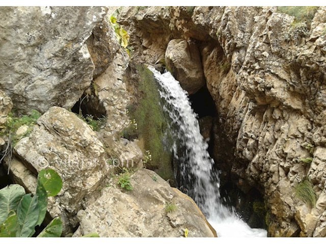عکس شماره 3 - روستای ییلاقی نشل