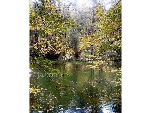 عکس شماره 5 - تالاب فراخین (دریاچه فراخین)