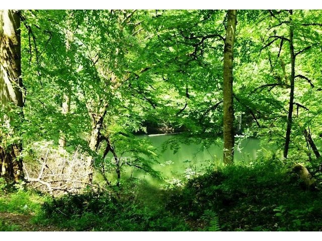 عکس شماره 6 - تالاب فراخین (دریاچه فراخین)