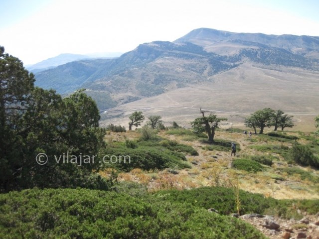 عکس اصلی شماره 1 - قله زبله روستای زیارت گرگان