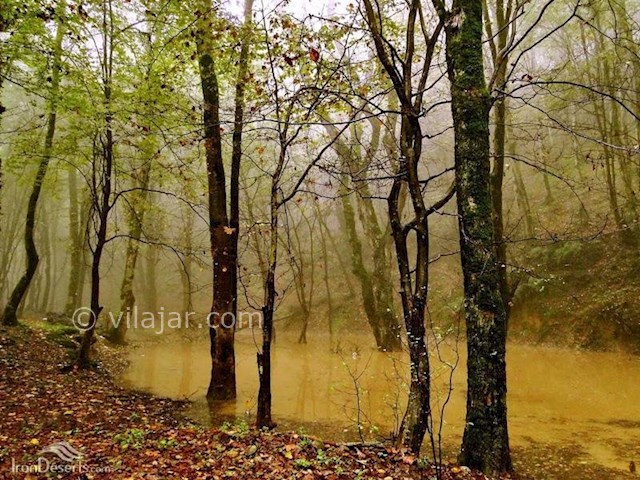 عکس شماره 4 - روستا و جنگل درازنو کردکوی