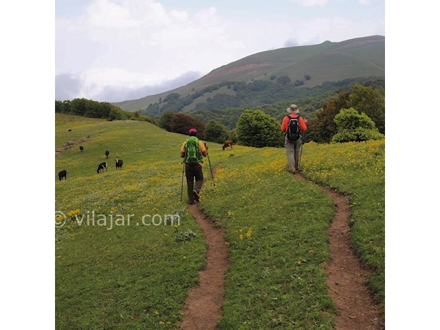 عکس شماره 5 - آبشار لاتون در گیلان