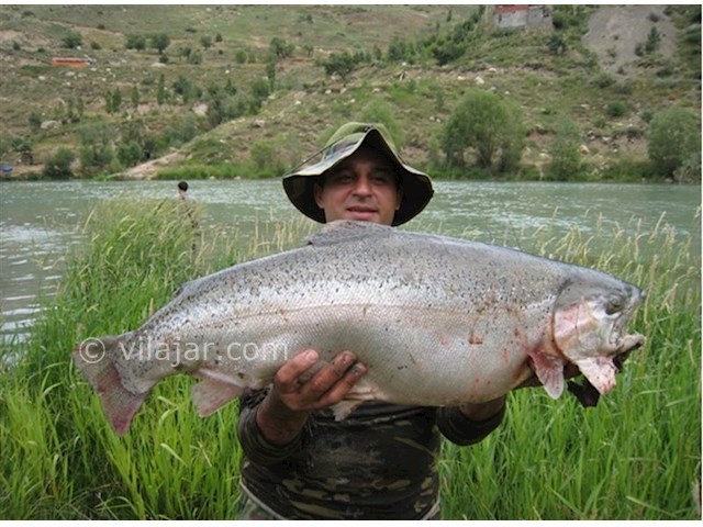 عکس شماره 3 - دریاچه امامزاده علی (پشنگ)