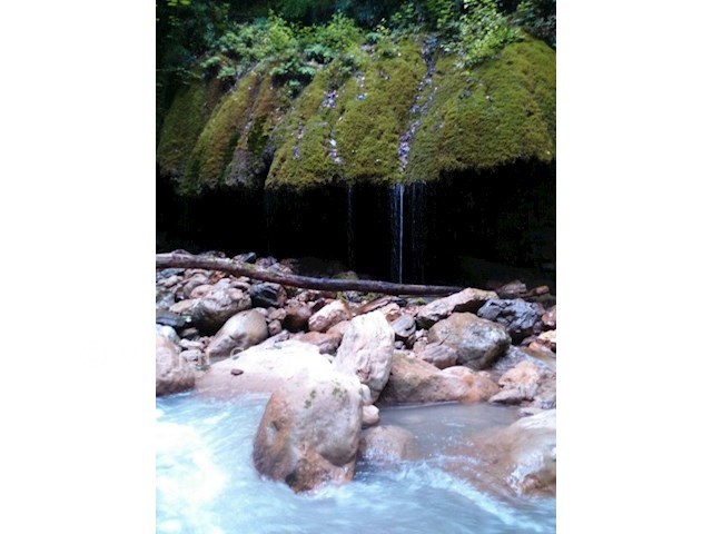 عکس شماره 5 - پارک جنگلی خانیکان