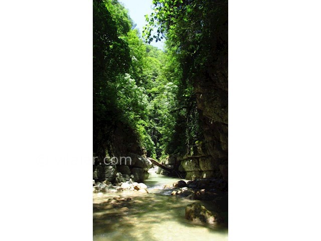 عکس شماره 6 - پارک جنگلی خانیکان