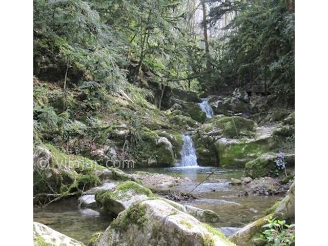 عکس شماره 7 - پارک جنگلی خانیکان