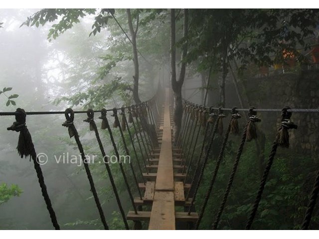 عکس شماره 3 - زیپ لاین تله کابین رامسر